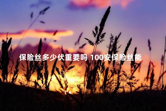 保险丝多少伏重要吗 100安保险丝能承受多大电流